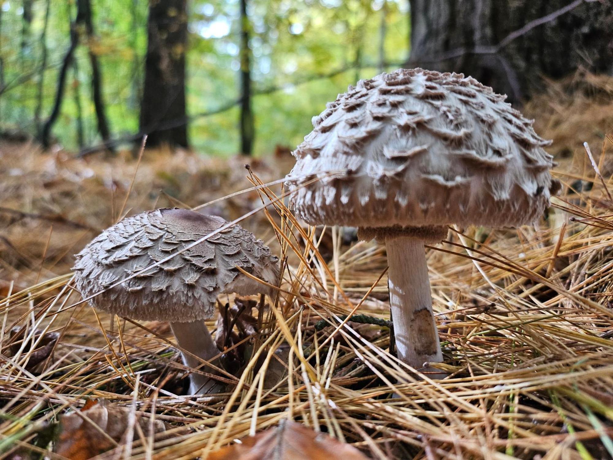 Fewo Am Wald Boek المظهر الخارجي الصورة
