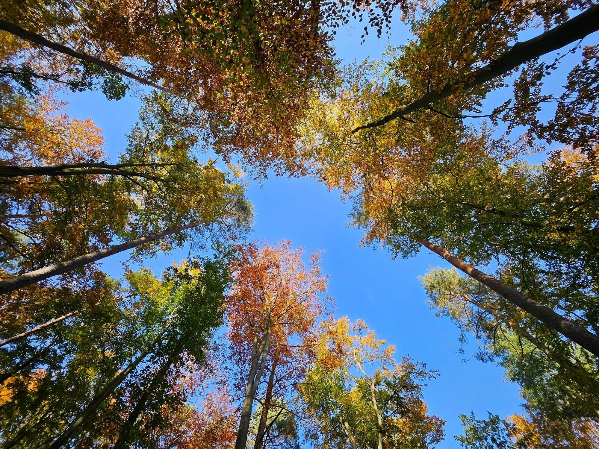 Fewo Am Wald Boek المظهر الخارجي الصورة
